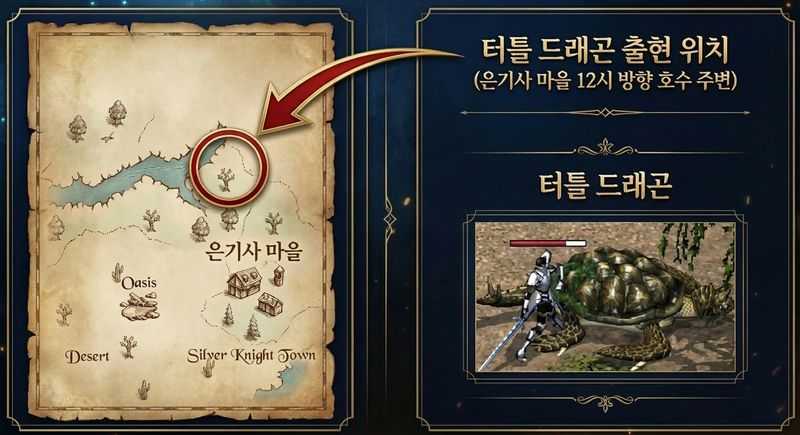 터틀 드래곤 출현 위치